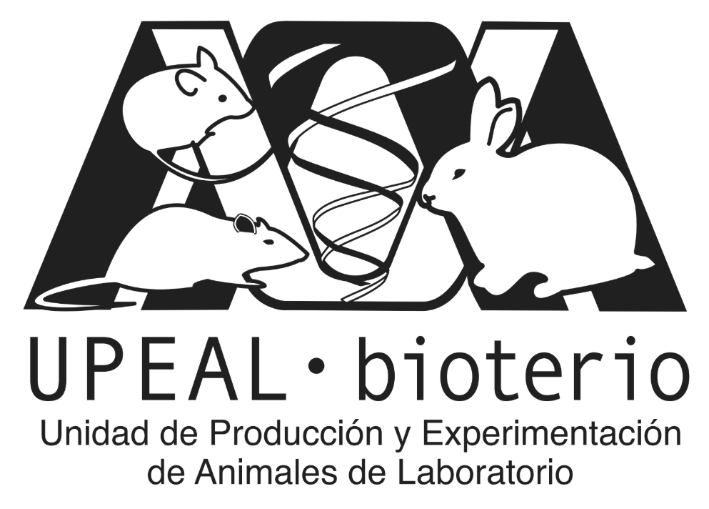Sitio vacío